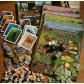 Alba Longa